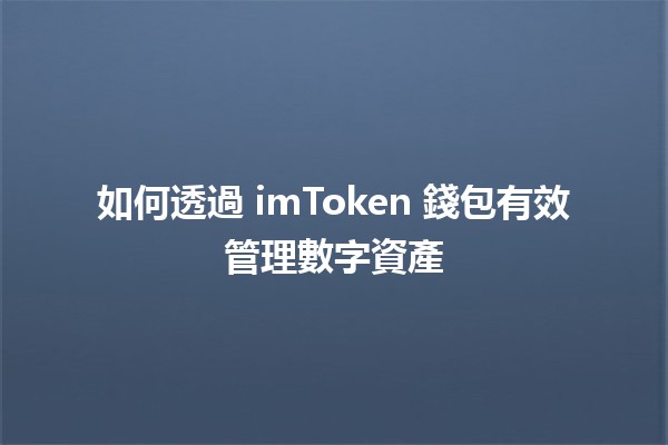 如何透過 imToken 錢包有效管理數字資產 💼💰